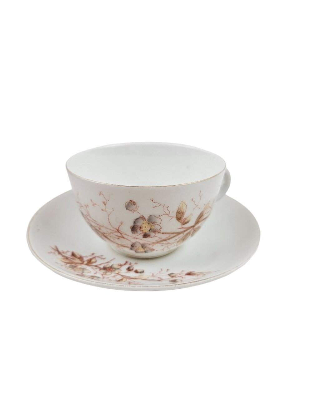 Marx And Gutherz Carlsbad Austria Ceramic Tea Cup Saucer Floral 1459 White Brown